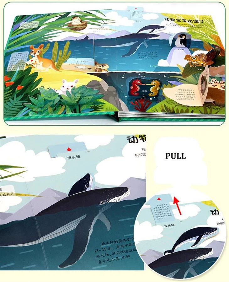 Beautiful Pop Up Books